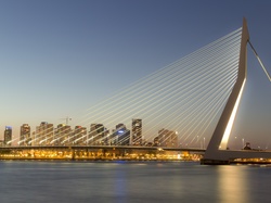 Erasmus Bridge, Rotterdam, Most, Holandia